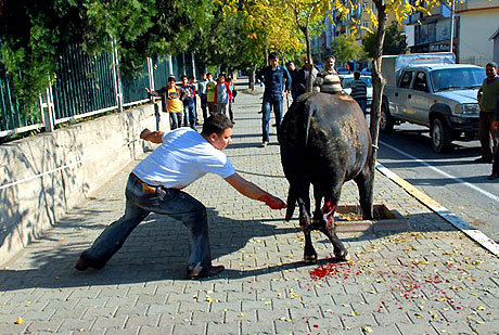 2009'a damgasını vuran fotoğraflar (2) galerisi resim 39