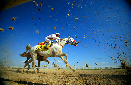 2009'a damgasını vuran fotoğraflar (2) galerisi resim 46