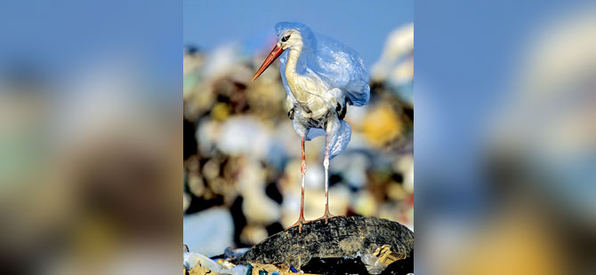 Greenpeace: Plastik atıkların yeni adresi Türkiye