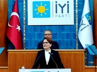 Meral Akşener: Damat Berat’ı Hazinenin başından alın